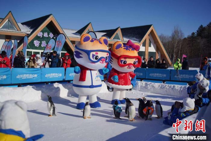 亚布力滑雪节启幕，全面升级迎接亚冬会，打造
