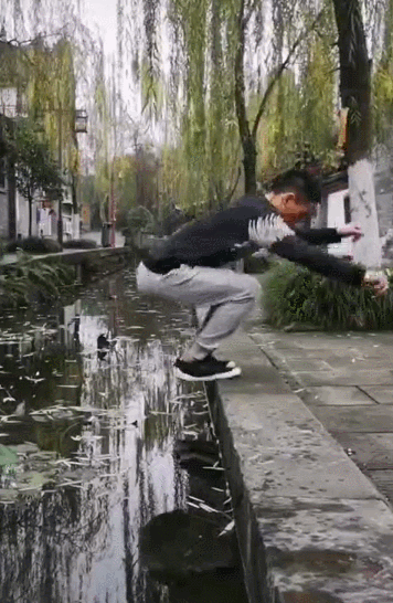 武术少年张成强挑战蜻蜓点水引热议